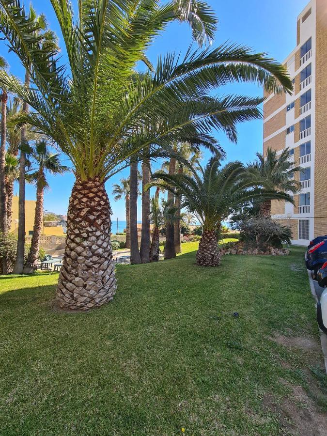 Room In Apartment - 1St Line Top Floor Apartment Carrer del Mar Exteriér fotografie